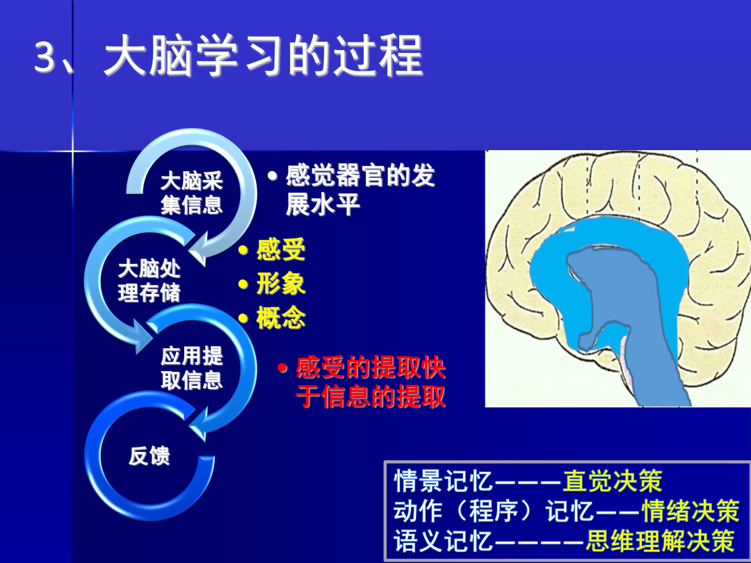 【讲座回顾】从感觉器官的培育到学习能力的养成，教育的实质其实是在构建人的大脑