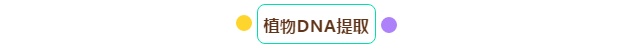 微信截图_20190705104348.png