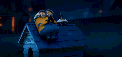 1563946530433018542.gif