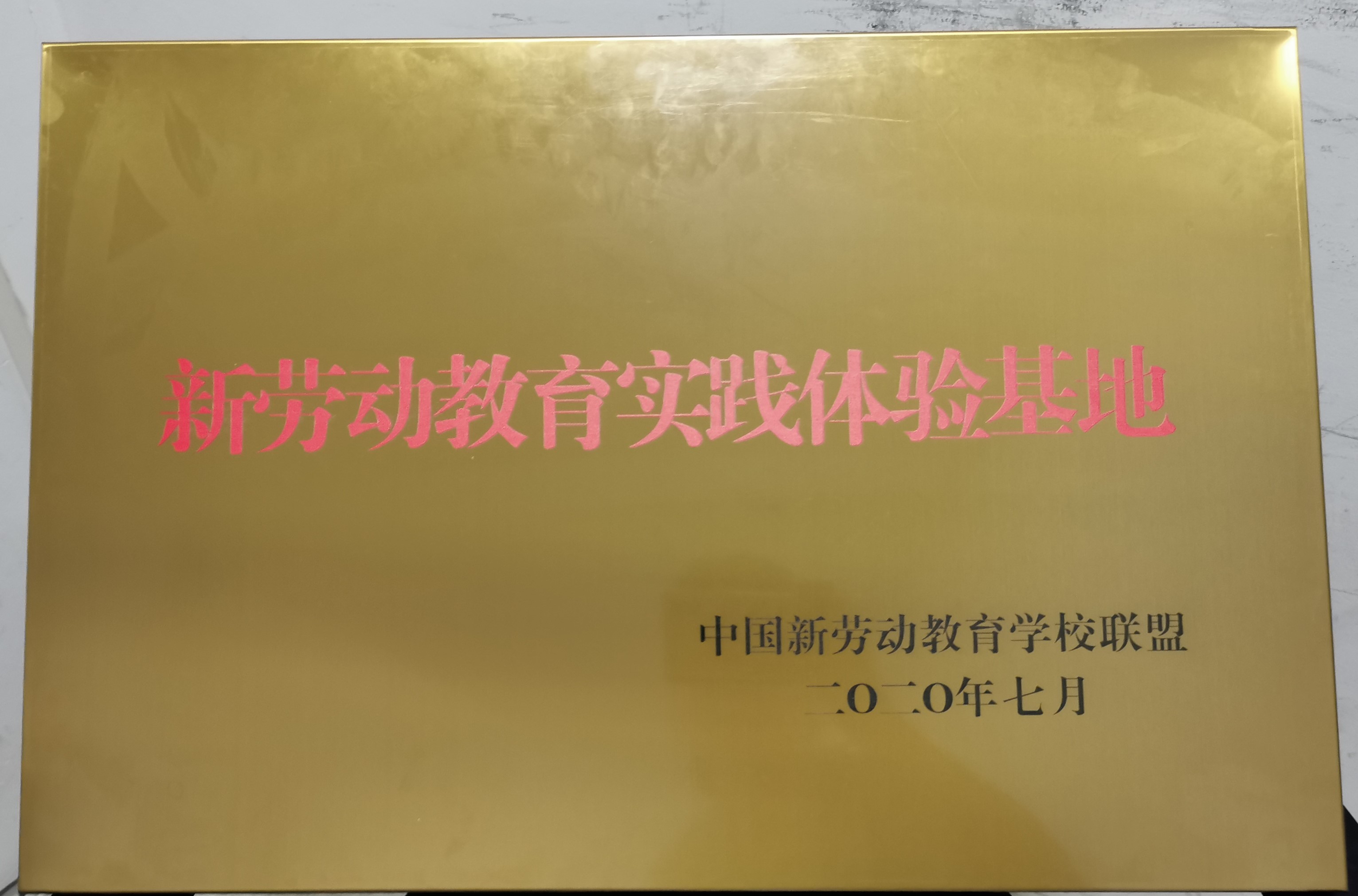 1595400485751051350.jpg